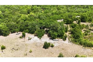 16050 275TH AVENUE, UMATILLA, FL 32784 - MLS#MFRG5111748