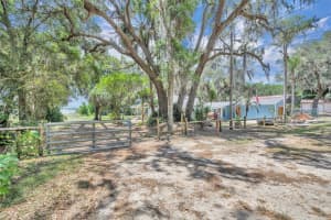13450 105TH TERRACE, OCKLAWAHA, FL 32179 - MLS#MFRG5111757