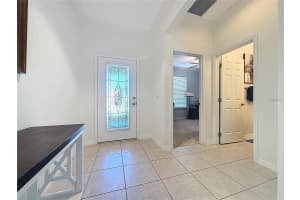 209 SILVER MAPLE ROAD, GROVELAND, FL 34736 - MLS#MFRG5111889