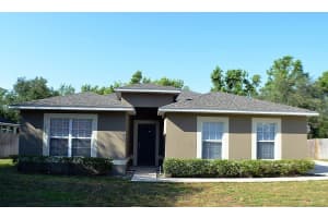 1017 TAWNY EAGLE DRIVE, GROVELAND, FL 34736 - MLS#MFRG5111924