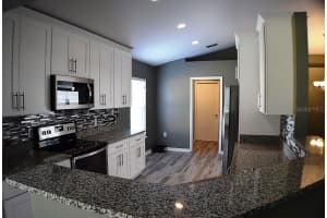 1017 TAWNY EAGLE DRIVE, GROVELAND, FL 34736 - MLS#MFRG5111924