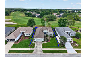 8011 PINE HOLLOW DRIVE, MOUNT DORA, FL 32757 - MLS#MFRG5111928