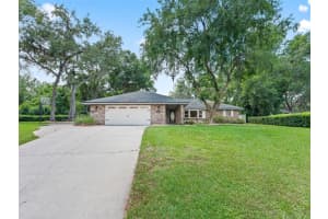 33005 JOEL COURT, LEESBURG, FL 34788 - MLS#MFRG5111944
