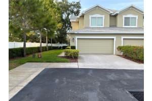 295 HARBOR DRIVE, PALM HARBOR, FL 34683 - MLS#MFRG5111950
