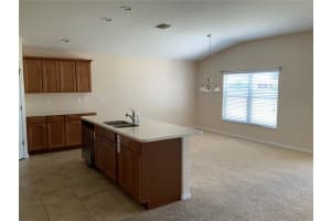 27215 ROANOKE DRIVE, LEESBURG, FL 34748 - MLS#MFRG5111951