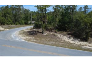 SW RAINBOW LAKES BLVD, DUNNELLON, FL 34431 - MLS#MFRG5112018