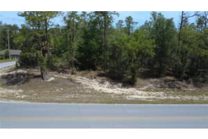 SW RAINBOW LAKES BLVD, DUNNELLON, FL 34431 - MLS#MFRG5112018