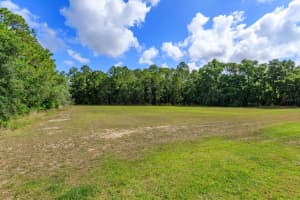 16201 CITRUS PKWY, CLERMONT, FL 34714 - MLS#MFRG5112124