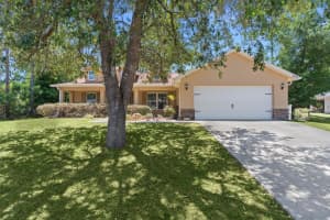 8770 161ST STREET, SUMMERFIELD, FL 34491 - MLS#MFRG5112140