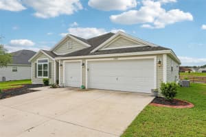 3315 DZURO DRIVE, OXFORD, FL 34484 - MLS#MFRG5112159