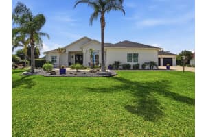 858 PINCKNEY LANE, THE VILLAGES, FL 32162 - MLS#MFRG5112241