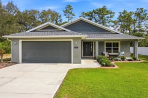 141 FISHER WAY, OCKLAWAHA, FL 32179 - MLS#MFRG5112266