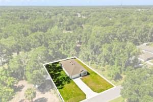 3796 131ST PLACE, BELLEVIEW, FL 34420 - MLS#MFRG5112317