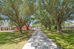14951 THOROUGHBRED LN, MONTVERDE, FL 34756 - MLS#MFRG5112347