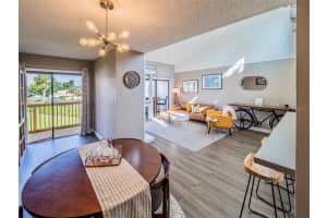 1051 HIGHLAND STREET, MOUNT DORA, FL 32757 - MLS#MFRG5112380