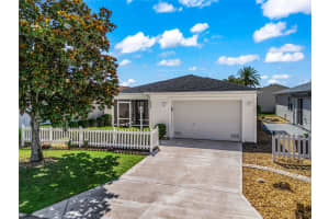 2537 BIRCH AVENUE, THE VILLAGES, FL 32162 - MLS#MFRG5112436