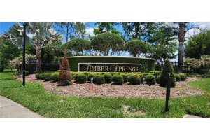 16229 OLD ASH LOOP, ORLANDO, FL 32828 - MLS#MFRG5112466