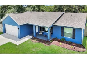 20 MALAUKA CIRCLE, OCKLAWAHA, FL 32179 - MLS#MFRG5112578