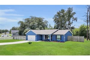 20 MALAUKA CIRCLE, OCKLAWAHA, FL 32179 - MLS#MFRG5112578