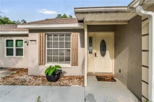 40140 PALM STREET, LADY LAKE, FL 32159 - MLS#MFRG5112736