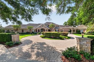 1000 JULIETTE BOULEVARD, MOUNT DORA, FL 32757 - MLS#MFRG5112764