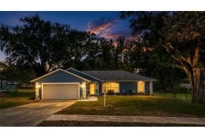 12500 DRAW DRIVE, GRAND ISLAND, FL 32735 - MLS#MFRG5112823
