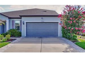 11608 DUBLIN GRAFTON DRIVE, RIVERVIEW, FL 33579 - MLS#MFRG5113107