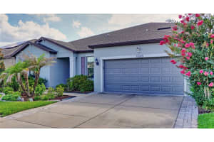 11608 DUBLIN GRAFTON DRIVE, RIVERVIEW, FL 33579 - MLS#MFRG5113107