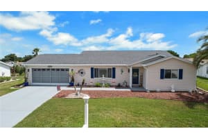 10608 174TH LOOP, SUMMERFIELD, FL 34491 - MLS#MFRG5113215