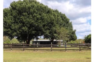 7083 TALL PINE ROAD, POLK CITY, FL 33868 - MLS#MFRG5113256