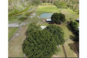 7083 TALL PINE ROAD, POLK CITY, FL 33868 - MLS#MFRG5113256