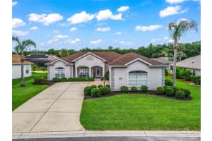 12421 174TH LOOP, SUMMERFIELD, FL 34491 - MLS#MFRG5113278
