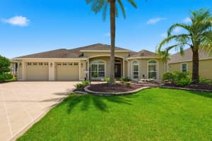 1328 MOCKINGBIRD LANE, THE VILLAGES, FL 32163 - MLS#MFRG5113364