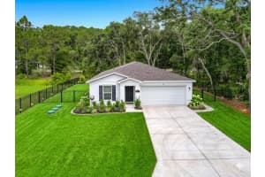 50 Bay Rd, OCKLAWAHA