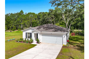 50 BAY ROAD, OCKLAWAHA, FL 32179 - MLS#MFRG5114036