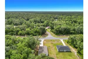50 BAY ROAD, OCKLAWAHA, FL 32179 - MLS#MFRG5114036