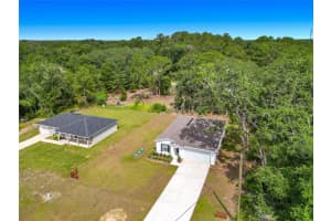 50 BAY ROAD, OCKLAWAHA, FL 32179 - MLS#MFRG5114036