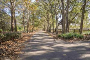 13803 NW 21st Ln, Gainesville, FL 32606, Sold 10/24/17