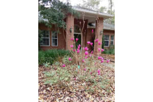 1619 SW 86th Terrace, Gainesville, FL 32607, Sold 05/14/18