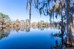 2821 NW 58th Way, Gainesville, FL 32606, Sold 05/21/19