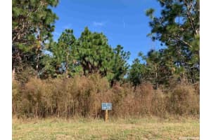 Lot 23 NW 152nd Court, Newberry, FL 32669 Sold 10/31/25