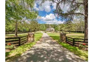 14004 NW 21st Ln, Gainesville, FL 32606, Sold 03/08/21