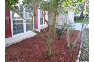 25177 NW 9th Rd, Newberry, FL 32669, Sold 04/23/21