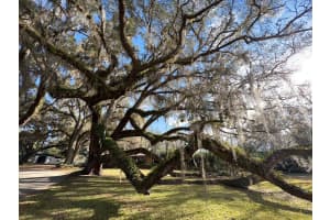 1809 NW 143rd St, Gainesville, FL 32606, Sold 03/30/22