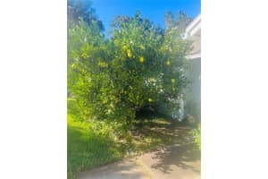 10510 NW 36TH LN, GAINESVILLE, FL 32606 Sold 12/14/22