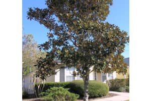 3741 26TH STREET, GAINESVILLE, FL 32605 Sold 03/31/23