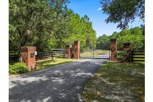 10117 132 DRIVE, ALACHUA, FL 32615 - MLS#MFRGC516591