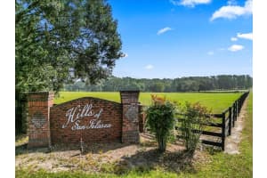 10117 132 DRIVE, ALACHUA, FL 32615 - MLS#MFRGC516591