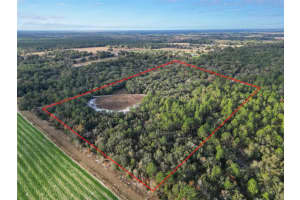 10431 32ND LANE, BRONSON, FL 32621 - MLS#MFRGC518158