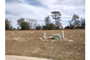 6400 180 CIRCLE, DUNNELLON, FL 34432 - MLS#MFRGC518581